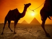 All inclusive vakantie Egypte