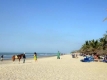 strand Kombo Beach